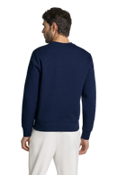 Suéter Polo azul con estampado